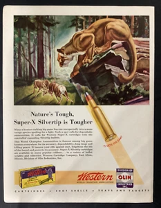 Pubblicità stampa d'epoca munizioni occidentali 1946 Olin Industries Nature's Tough - Foto 1 di 1