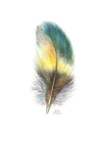 ORIGINAL Watercolour Painting Yellow-Green Feather. 5” × 7” by Mila Ansell - Picture 1 of 3