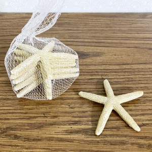 Paquete decorativo de 6 estrellas de mar de 3,5" náuticas de playa costera mar - Imagen 1 de 5
