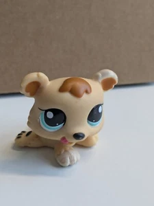 Oso Littlest Pet Shop #1554 - Imagen 1 de 4