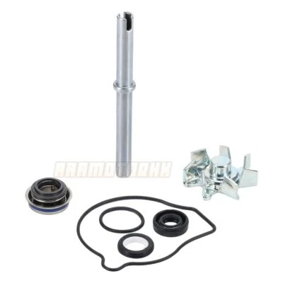Kit de reparación de bomba de agua Oring para Honda CBR900RR CBR929RR Fireblade 2000-2001 Foto 1 de 4
