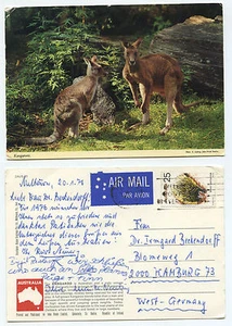 21101 - Känguruhs - australische Ansichtskarte, gelaufen 20.1.1976 - Picture 1 of 1