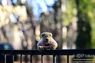 Leica HEKTOR-P2 85/2.8 converted to Nikon F with infinity focusing | SAMPLES - Image 1 of 4