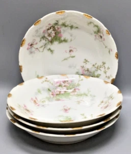 Theodore Haviland APPLE BLOSSOM (SCHLEIGER 146) Fruit Bowls SETS OF FOUR - Picture 1 of 4
