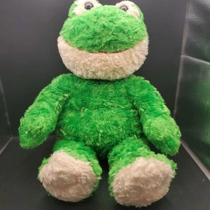 Build A Bear Frog (Mr. Greeny) 18” Plush Stuffed Animal Retired - Picture 1 of 9