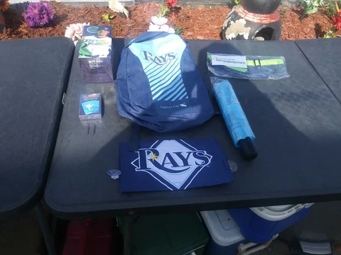 TAMPA BAY RAYS - 16" X 10" BACK PACK GIFT PACK (See Description) Cover