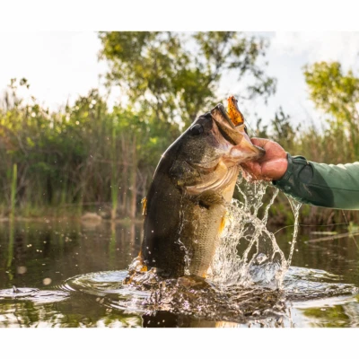 SAVAGE GEAR HOP WALKER FROG - Image 1 of 4