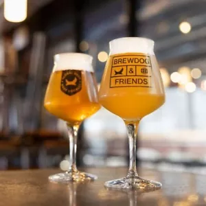 Brewdog & Friends Teku Glass Brand New 100% Genuine CE Marked - Picture 1 of 1