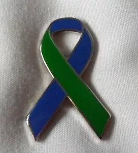 Idiopathische intrakranielle Hypertonie IIH Bewusstseinsband Emaille Pin Abzeichen. - Bild 1 von 1