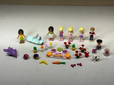 Lote de minifiguras Lego Friends + peças de acessórios golfinho scooter cachorro - Imagem 1 de 4