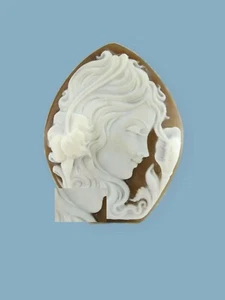 Original Camafeo Mujer Perfil Artesano Torre del Greco Garantía Italia  - Imagen 1 de 2