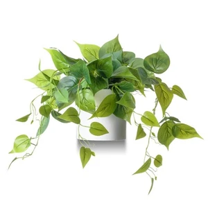 Faux Plants Indoor, Artificial Plants for Home Decor Indoor, Pothos Small Fak... - Picture 1 of 5
