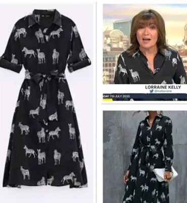 ZARA NEU MIT ETIKETT Zebramuster Gürtel Midikleid Blogger Seide Satin Lorraine Kelly XL - Bild 1 von 4