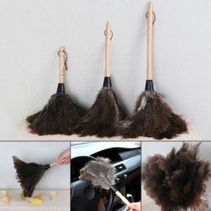 Anti Static Ostrich Feather Duster Wooden Duster Dust Cleaning Handle Brush Tool - Picture 1 of 14
