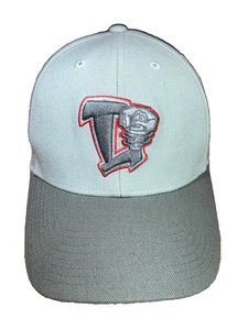 Lansing Lugnuts Hut '47 Marke MiLB Original Ware verstellbar BOX VERSAND - Bild 1 von 20