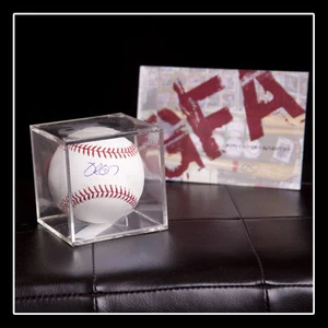 **GFA Philadelphia Filis *DELMON YOUNG* Firmado Rawlings GU MLB Béisbol Certificado de Autenticidad** - Imagen 1 de 1