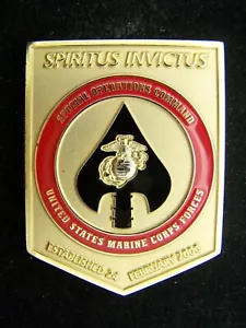 US Marine Corps Special Operations Command MARSOC Raiders Challenge Coin - Picture 1 of 2