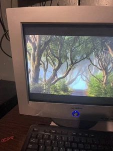 eMachines eView 17f3 VGACRT Gaming Monitor, Retro Tested And Works 👌 - Picture 1 of 11