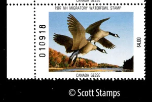 NH5 1987 New Hampshire Duck Stamp - MNH - Canada Gänse - Künstler: Robert Steiner - Bild 1 von 1
