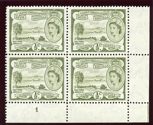 St Kitts-Nevis 1954 QEII ½c yellow-olive Plate 1 block superb MNH. SG 106a. - Picture 1 of 2