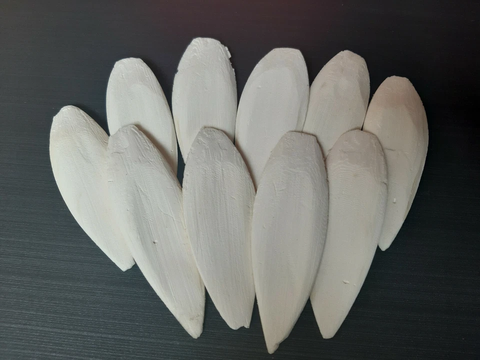 MARKENLOS 10 Sepiaschalen, ca. 10 - 12 cm / 1A TOP Qualität / Sepiaschale, Sepia, Kalzium