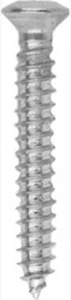 4.2MM X 30MM TORX OVAL HEAD TRIM TAPPING SCREW CHROME. O.E. #11504522 (50/PK) - Picture 1 of 2