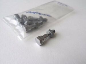 *NOS 1980s Campagnolo Nuovo/Super Record fixing bolt & nut upgrade*