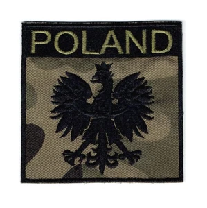 1700 WW2 TOPPA AQUILA BIANCA LUCIDA 3,5 POLLICI FORZE MILITARI POLACCHE NERO MIMETICO - Foto 1 di 1