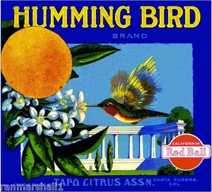Santa Susana Humming Bird #2 Orange Citrus Fruit Crate Label Vintage Art Print - Picture 1 of 1
