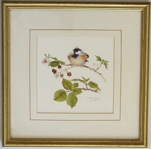 Valerie Pfeiffer Framed Print 'Chick & Berries' 38.5cm x 38.5cm Signed U/- Glass - Picture 1 of 24