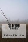 This Is Where Things Play by Ethan Fleisher (English) Paperback Book