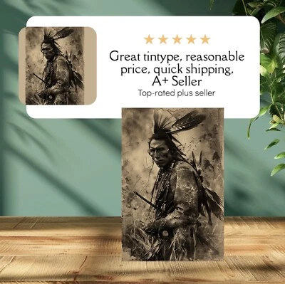 Индейский тонип ограниченный выпуск музейная серия C00101RP - Изображение 1 из 2