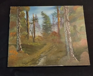 Original Oil Painting 16x20 Woods Scene Art by Bibearult 87 (Bob Ross Inspired) - Picture 1 of 6