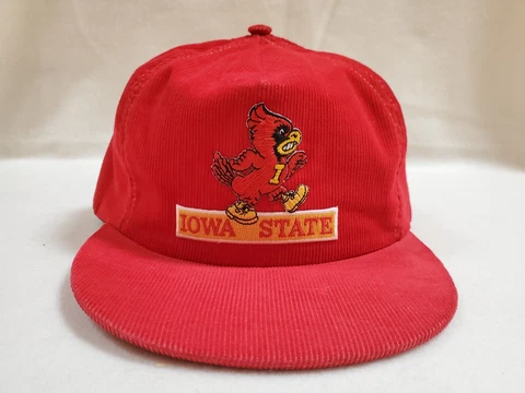 Iowa State Corduroy Hat Rare Cap, Cardinal Mascot, Vintage University Square USA Cover
