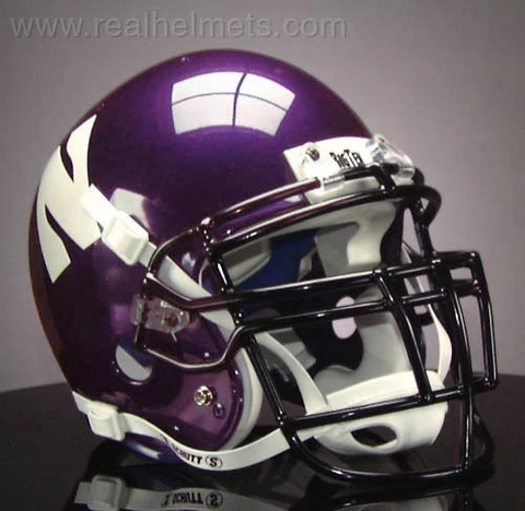 NORTHWESTERN WILDCATS NCAA Schutt XP Full Size REPLICA Gameday Football Helmet Cover
