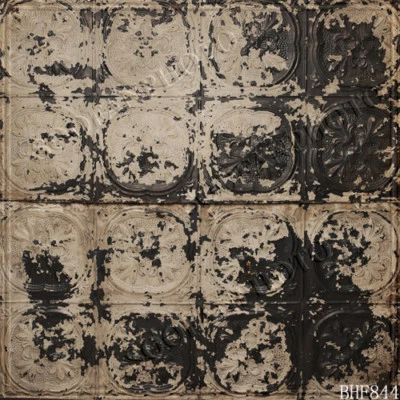 壁纸 10'x10' 电脑/数字乙烯基风景照片背景背景背景背景背景背景 BHF844 — 第 1/3 张图片