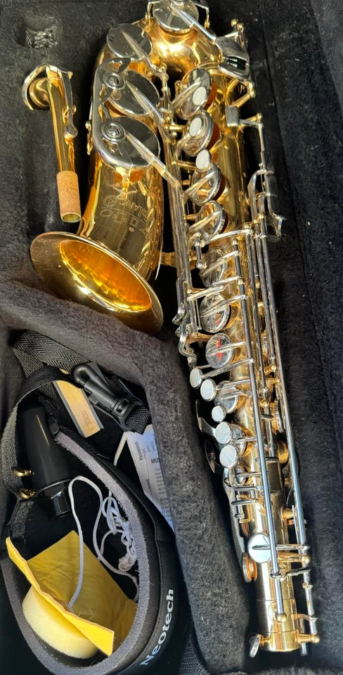 Saxofón Lablanc alto usado, ideal para principiantes. Apenas usado desde hace 2 años.  Foto 1 de 1