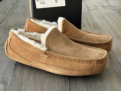Ugg - Zapatilla superior de gamuza para hombre Ascot castaño talla US 7, estilo # M/1101110 Foto 1 de 4