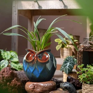 Blue Owl Ceramic Succulent Planter with Drainage Plug Animal Plant Pot Tabletop - Picture 1 of 8