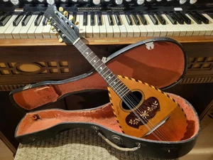 Top Mandoline La Vésurienne France ca. 1925 restored inkl. Case - Picture 1 of 12