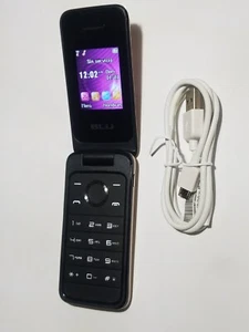 Rare Worldwide BLU Diva Flex 3G Dual Sim GSM QUAD Band Small Flip Cell Phone - Picture 1 of 6