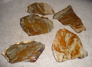 5 Picture Jaspers Grays and beige - Bild 1 von 4