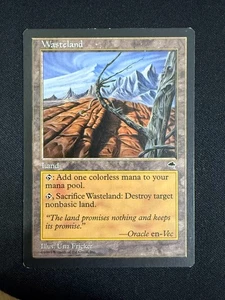 Wasteland - Tempest (Magic Gathering) - Bild 1 von 2