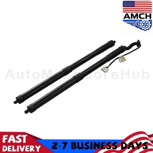 2PCS Rear Tailgate Power Hatch Lift Support Strut for 2016-2017 Honda Pilot - Bild 1 von 22