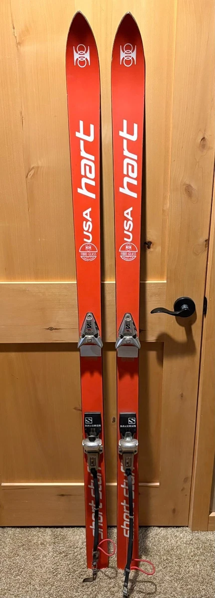 【新品未使用】Hart F17 171cm New 165 cm Hart F17 Fusion Team Classic II Mogul Bump Skis | eBay