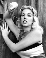 SALLY TODD ACTRESS AND MODEL - 8X10 PUBLICITY PHOTO (BB-476)