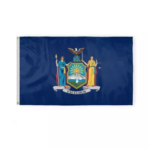 Bandiera di Stato New York NY monofacciale stampa rovescio 200D nylon striscione occhielli - Foto 1 di 34