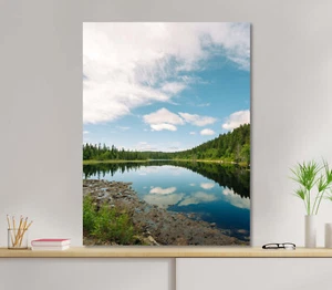 Cloudy Day Lake & Trees 5mm thick Plastic Poster Ready to Hang 45x60cm - Picture 1 of 3