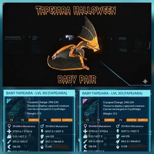 TAPEJARA BABY COPPIA TOP STATUS ARK ASCENDED PVE PC/XBOX/PS5 UFFICIALE - Foto 1 di 4