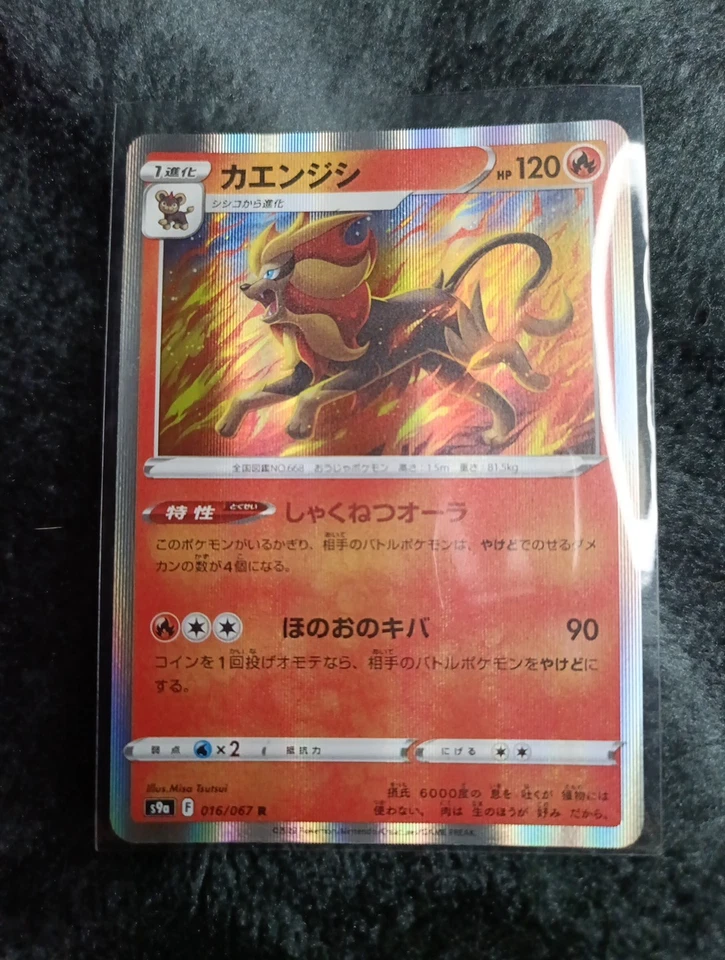 Pyroar - Holo Rare - 016/067 s9a Battle Region Japanese Pokemon Card - Image 1 of 2